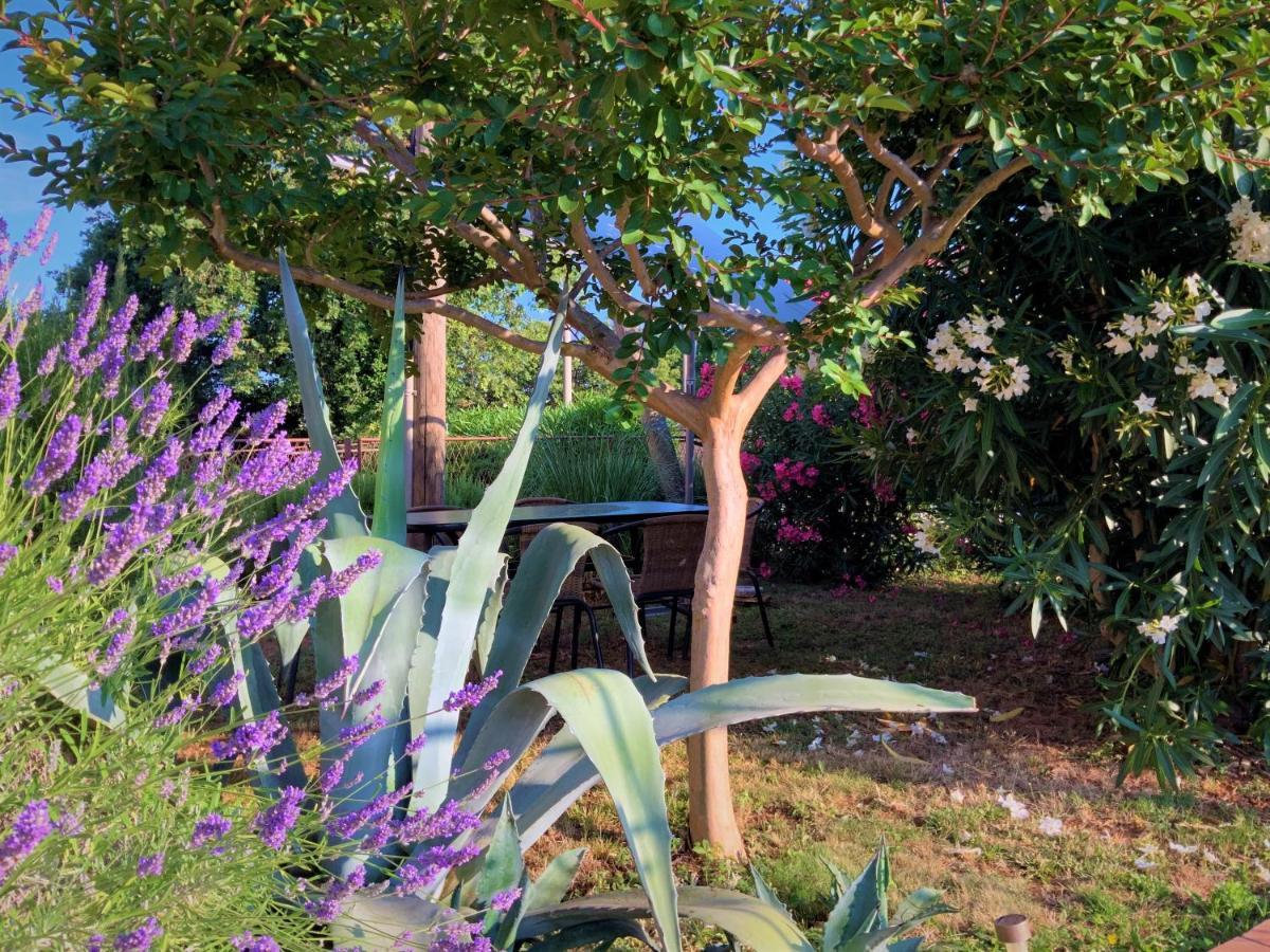 Apartment Agava Istria - Family Vacation Rental With Free Parking, Garden, Wifi Ližnjan Exterior foto