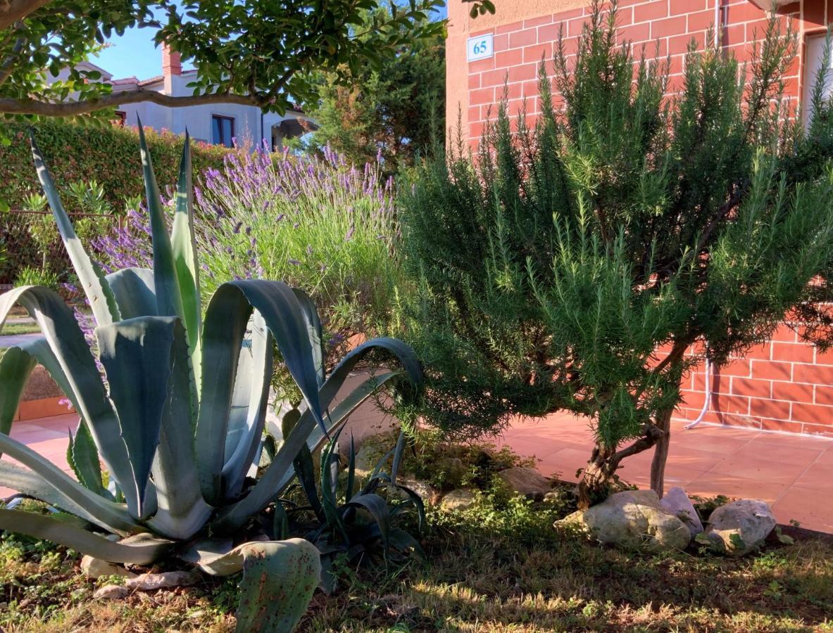 Apartment Agava Istria - Family Vacation Rental With Free Parking, Garden, Wifi Ližnjan Exterior foto