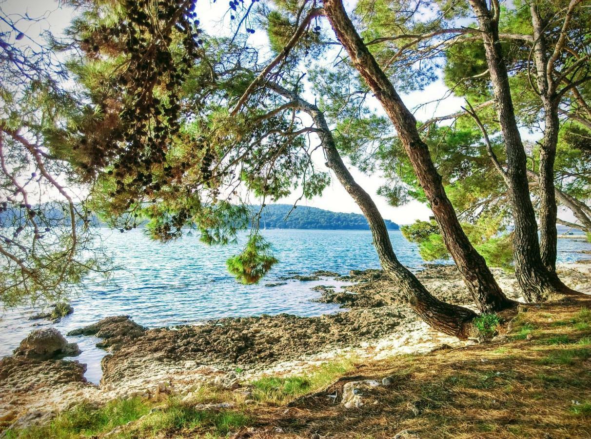 Apartment Agava Istria - Family Vacation Rental With Free Parking, Garden, Wifi Ližnjan Exterior foto