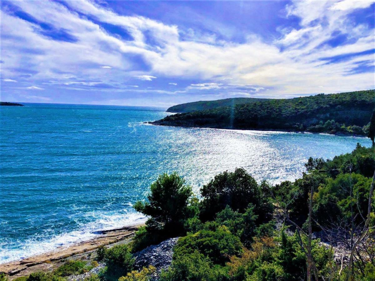 Apartment Agava Istria - Family Vacation Rental With Free Parking, Garden, Wifi Ližnjan Exterior foto